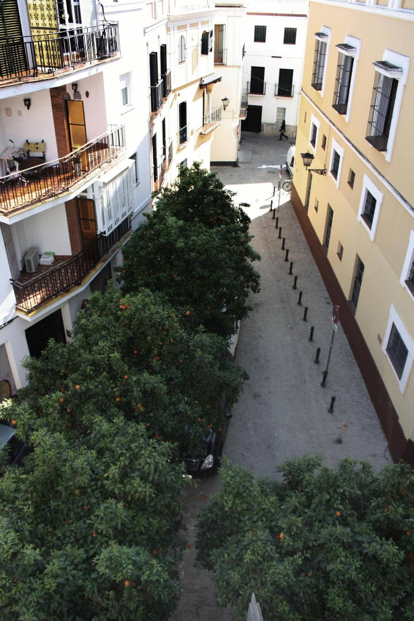 Apartamentos Turisticos La Encarnacion إشبيلية المظهر الخارجي الصورة